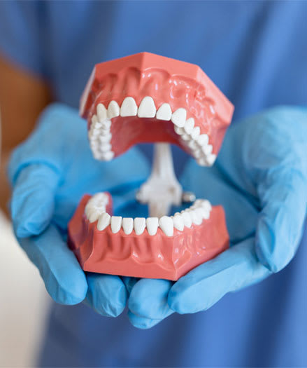 Dentures Services, Calgary Dentist